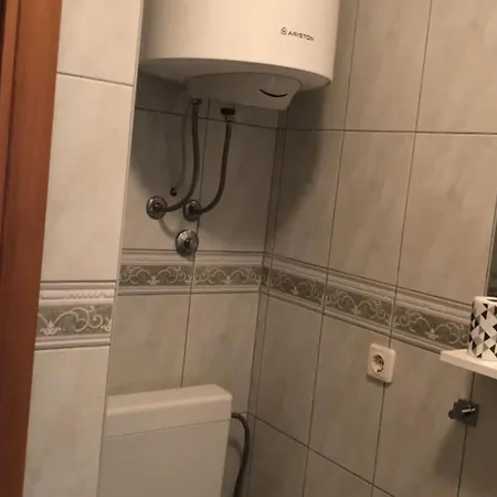 Nela טרוגיר